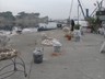 19.01.2015_ Aa sevgisi_Erdek