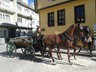 18.04.2015_ESKEHR