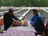 21.05.2015_Balk iftlii_ISPARTA