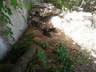 26.05.2015_ apikler_Erdek